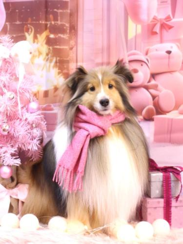 20241227ノアくん